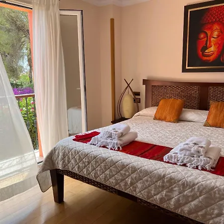 ذا ماربييا هايتس البوتيكي فندق